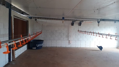 Showroom GMH Alimentos e Big Dutchman — Registro 2