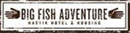Logotipo de Big Fish Adventure